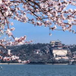 Beijing: Mutianyu GreatWall and Summer Palace Guided Tour - Why This Tour Offers Great Value