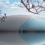 Beijing: Natinonal Center For The Peformance Arts Ticket - Exploring the National Centre for the Performing Arts (NCPA)