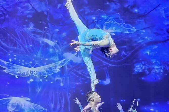 Beijing Red theatre Acrobatics Show Ticket - Who Is This Tour Best For?