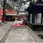 Beijing: Tanzhe Temple Blessing Tour with Guide - The Value of this Tour
