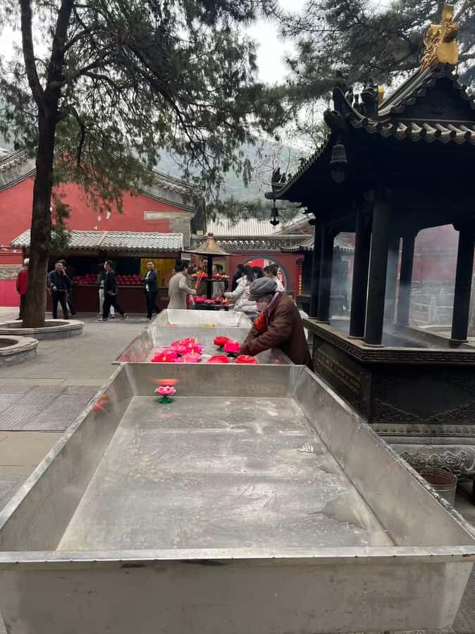 Beijing: Tanzhe Temple Blessing Tour with Guide - The Value of this Tour