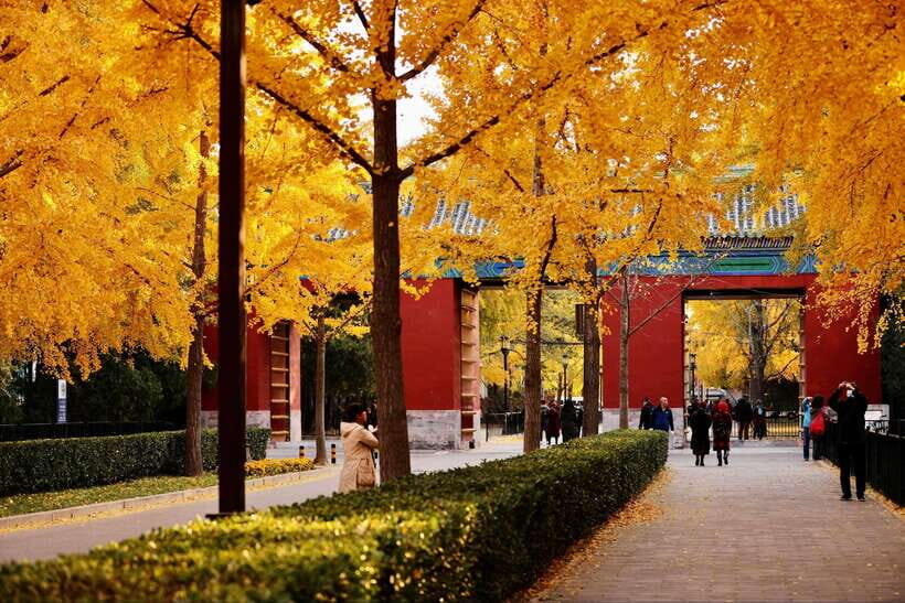 Beijing: Temple of Earth ticket; Serene, Majestic, Ancient - The Booking Process and Practicalities