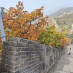 Beijing:Mutianyu Great Wall Private Trip with English Driver - What to Expect on Your Day