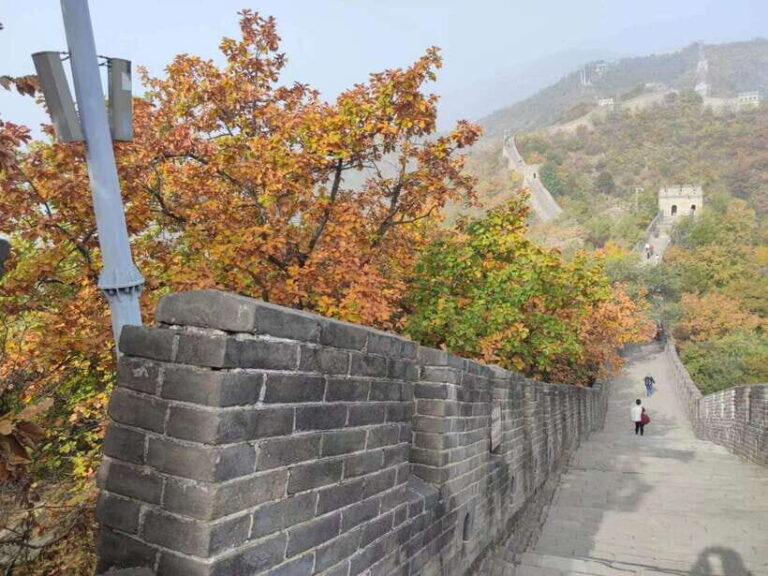Beijing:Mutianyu Great Wall Private Trip with English Driver - What to Expect on Your Day