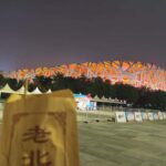 BeiJingPrivate Forbidden City, Bird's Nest, Tea, Eng Driver - Why This Tour Offers Great Value