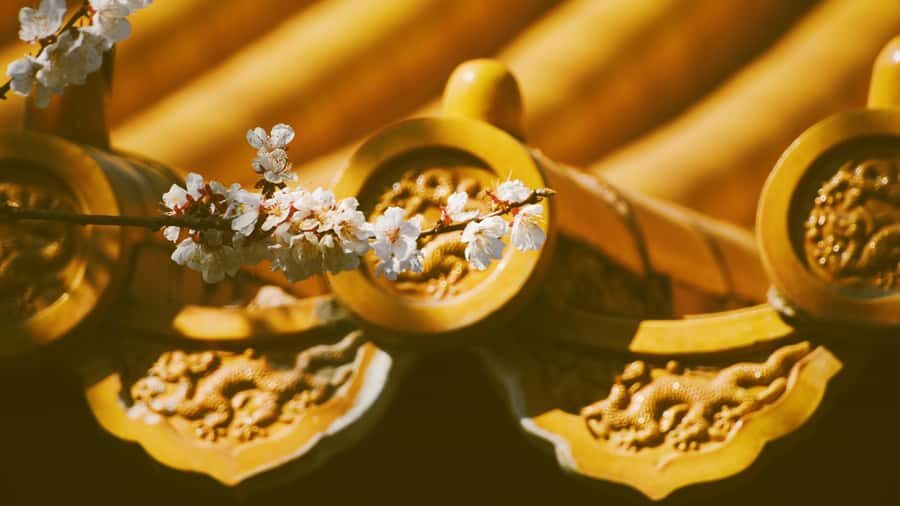 beijingPrivate guided tour of the Forbidden City and parks - Detailed Breakdown of the Itinerary