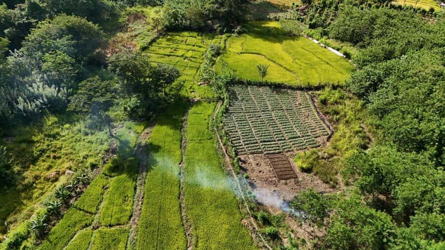 Belihuloya: 3-Night Hiking Tour with Kayaking & Transfers - What’s the Real Value?