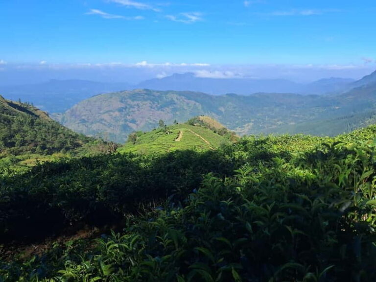 Belihuloya: Bakers Bend Hiking Trail Guided Tour - Comparing Similar Experiences