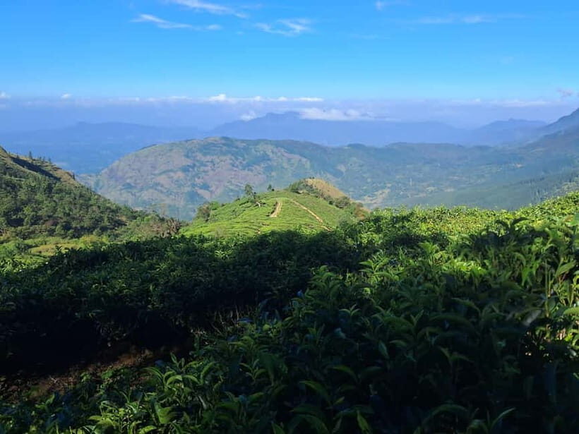 Belihuloya: Bakers Bend Hiking Trail Guided Tour - Comparing Similar Experiences