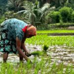 Belihuloya Trails Stage 1 : 3-Day Tour with Drop off at Ella - Day 1: Welcome to Belihuloya & Kayaking in Samanala Wewa