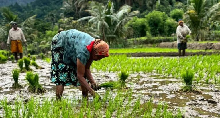 Belihuloya Trails Stage 1 : 3-Day Tour with Drop off at Ella - Day 1: Welcome to Belihuloya & Kayaking in Samanala Wewa