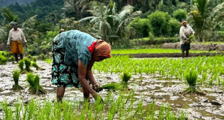 Belihuloya Trails Stage 1 : 3-Day Tour with Drop off at Ella - Day 1: Welcome to Belihuloya & Kayaking in Samanala Wewa