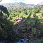 Belihuloya Village Tour with Lunch - Cultural Encounters: Homes, Temples, and Traditions