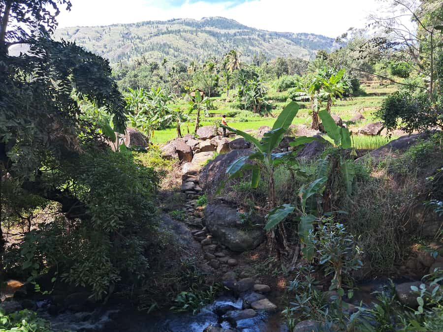 Belihuloya Village Tour with Lunch - Cultural Encounters: Homes, Temples, and Traditions