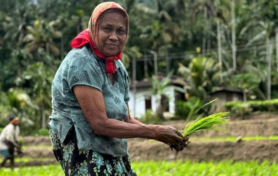 Belihuloya Village Tour with Lunch - Why This Tour Offers Good Value for Money