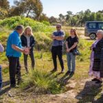 Bendigo Chinese Heritage Tour with Morning Tea Sundays - Deep Dive into the Stops
