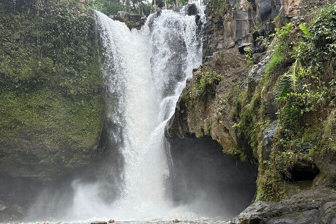 Benoa Port - Cruise Ship Shore Excursion - Private Guided Tour - What Travelers Are Saying