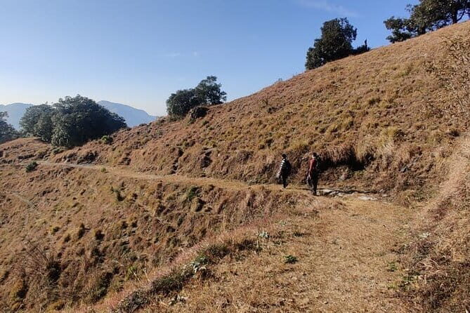 Benog Trek into the Wild - Why Choose the Benog Trek?