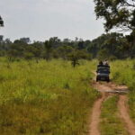 Bentota: 2-Day Private Tour Wild; Wonders And Galle Fort - Who Will Love This Tour?