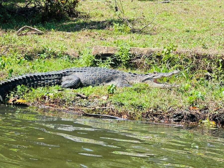 Bentota/Beruwala: Galle Fort, Koggala Lake & Kayaking Tour - A Closer Look at the Tour Itinerary