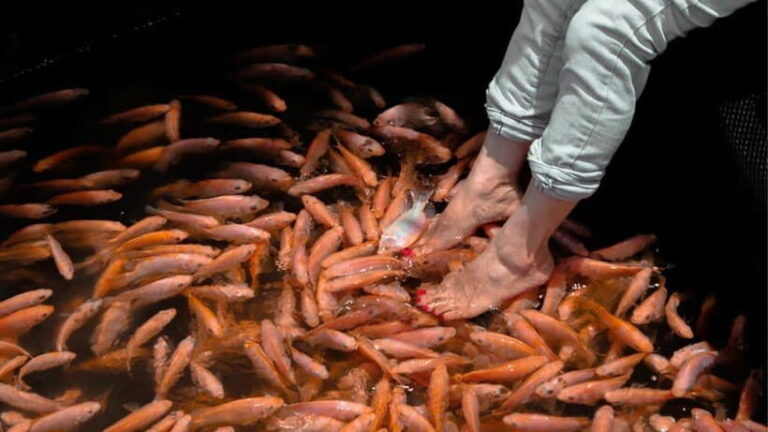 Bentota City Tour from Unawatuna - Practical Details and Value