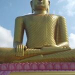 Bentota River,Turtels,Wood Carving & Temple tour By Tuk Tuk - Why This Tour Works