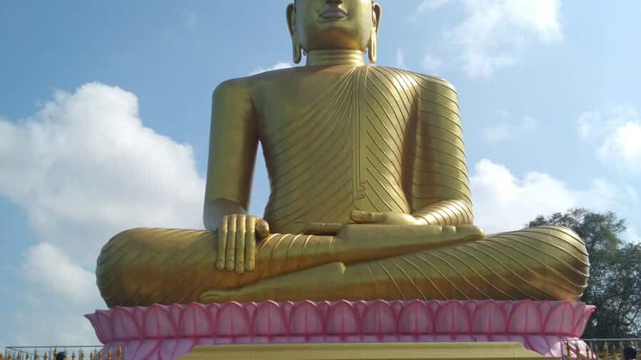 Bentota River,Turtels,Wood Carving & Temple tour By Tuk Tuk - Why This Tour Works