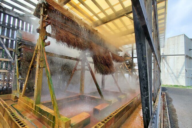 Beppu Guided Private City Tour with Transport - What’s Included and What’s Not