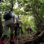 Beppu: Himeshima Island Eco-Cart Tour with Onsen - Exploring Himeshima’s Seven Wonders and Coastal Views