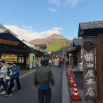 Beppu: Nordic Walking, Wagyu Lunch, and Yufuin Tour - The Practical Aspects