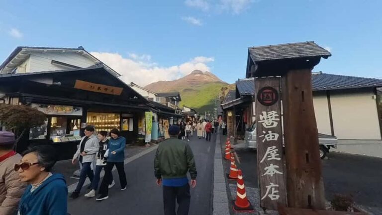 Beppu: Nordic Walking, Wagyu Lunch, and Yufuin Tour - The Practical Aspects
