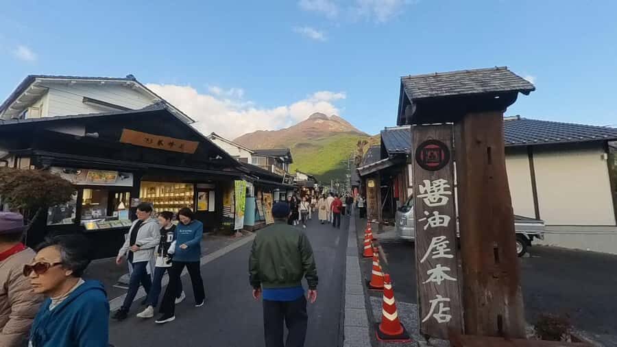 Beppu: Nordic Walking, Wagyu Lunch, and Yufuin Tour - The Practical Aspects