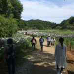 Beppu: Shidaka Lake Nordic Walking and Forest Bathing Tour - Practical Details You Need to Know