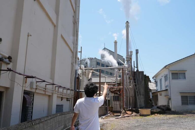 Beppu Walking Tour: Hot Springs & Local Culture - Exploring Beppu’s Hot Spring Heritage
