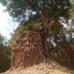 Best Driver Taxi From Siem Reap To Phnom Penh - English Speaking - Final Thoughts: Why This Transfer Stands Out