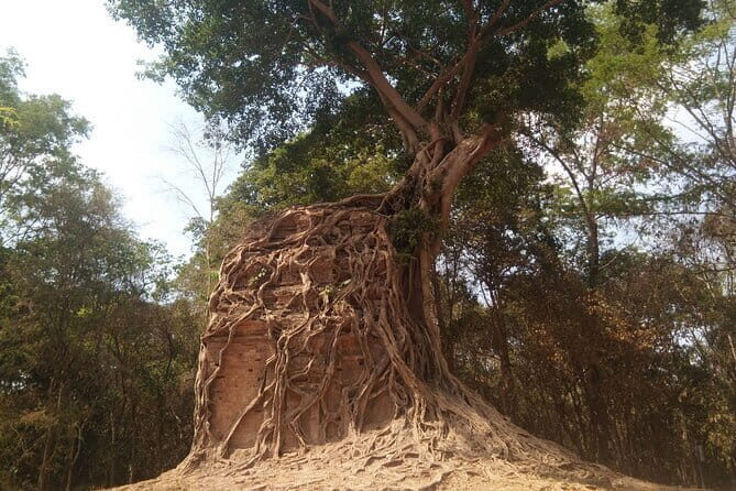 Best Driver Taxi From Siem Reap To Phnom Penh - English Speaking - Final Thoughts: Why This Transfer Stands Out