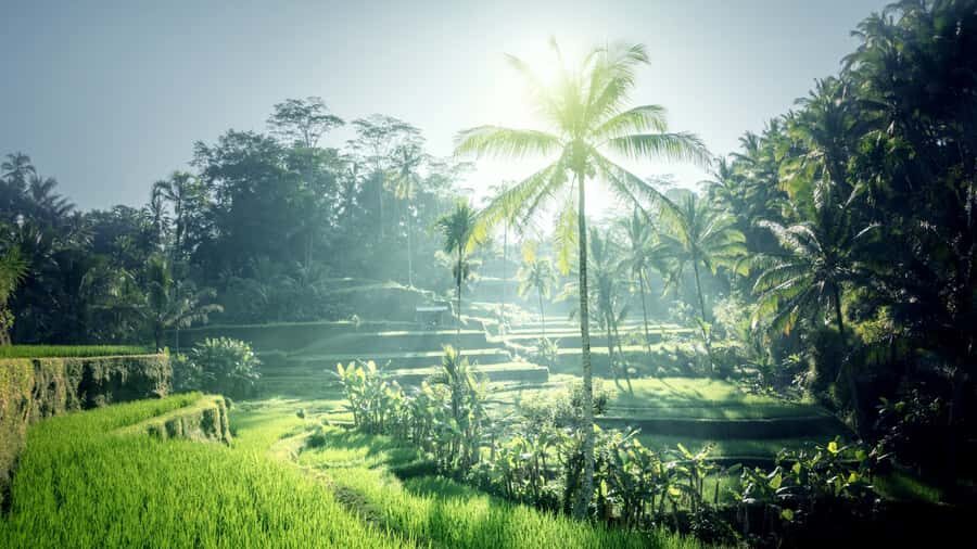 Best of Bali: Private Customizable Day Tour - What to Expect from the Itinerary