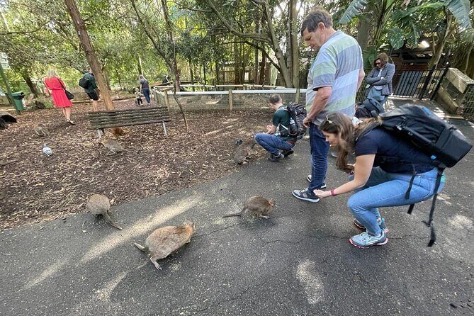 Best of Blue Mountains: Private Tour - How the Experience Comes Together