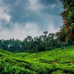 Best of Chikmagalur: Guided Day Trip from Mysore in Car - What to Expect: Practical Details