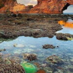 Best of Nusa Penida All-Inclusive Day Trip - Authentic Insights from Guest Reviews