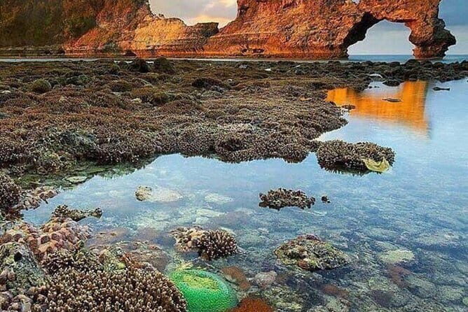 Best of Nusa Penida All-Inclusive Day Trip - Authentic Insights from Guest Reviews