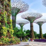 Best of Singapore: Private Walking Tour with a Local - Who Will Love This Tour?