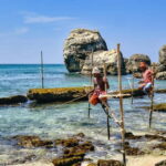 Best of Sri Lanka  10 Day Private Tour - What Makes This Tour Stand Out?