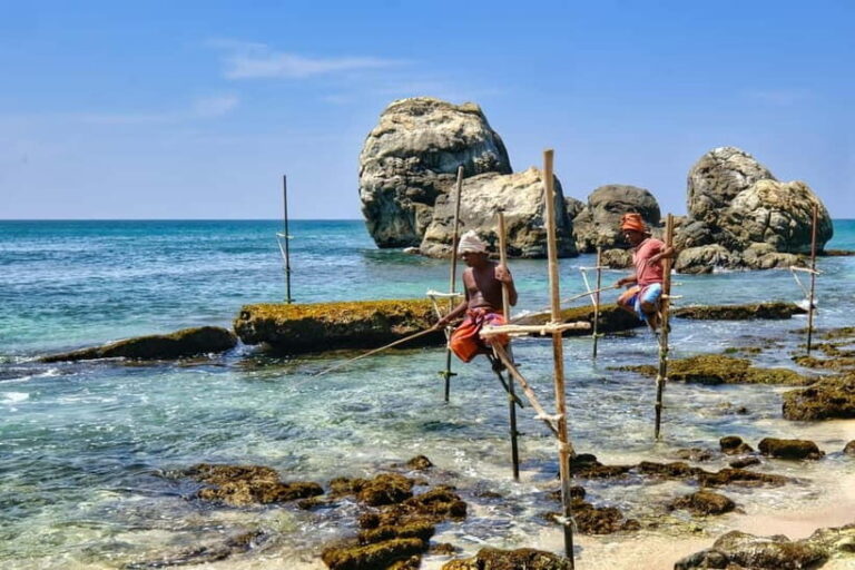 Best of Sri Lanka  10 Day Private Tour - What Makes This Tour Stand Out?