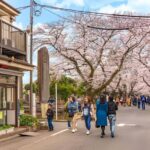 Best of Tokyo: Guided Full Day City Tour with Lunch - Practical Details and Value