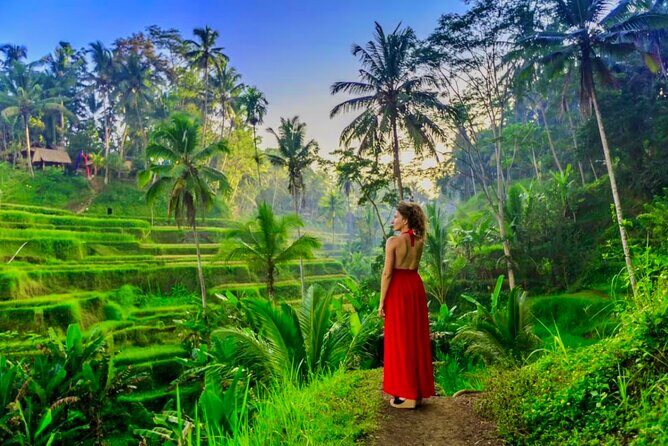 Best of Ubud: All-Inclusive Private Tour with Local Guide - Who Should Book This Tour?