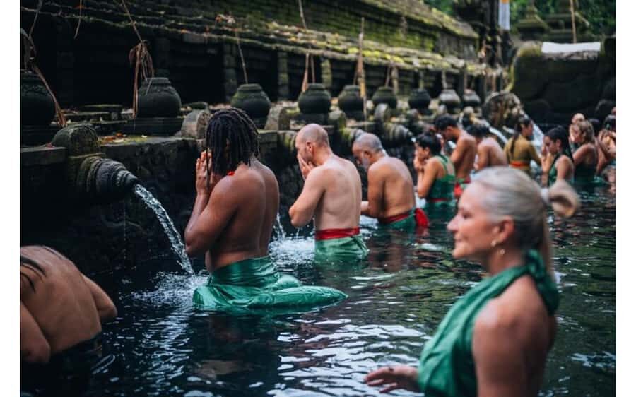 Best of Ubud - Private Guided Full-Day Tour, Ubud, Bali - Who This Tour Is Best For