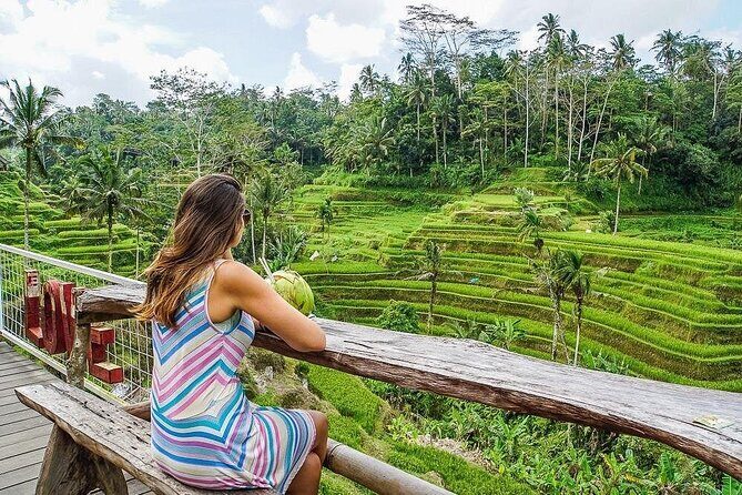 Best of Ubud Private Tour: Rice Terrace, Temple & Waterfall - Detailed Breakdown of the Itinerary