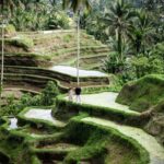 Best Of Ubud Purification Rice Terrace and Waterfall - The Guides and Personal Touches