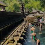 Best of Ubud: Waterfall, Temple & Rice Terrace - Iconic Tegalalang Rice Terrace